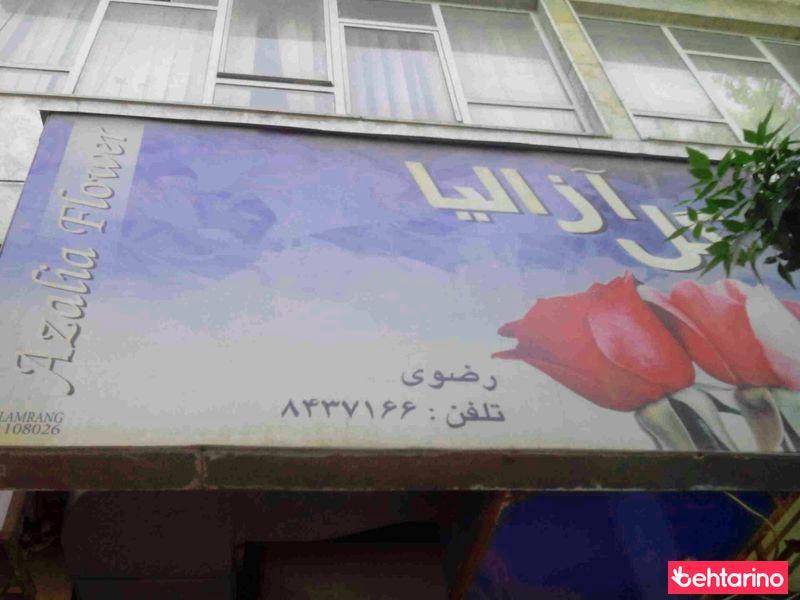 گل فروشی آزالیا