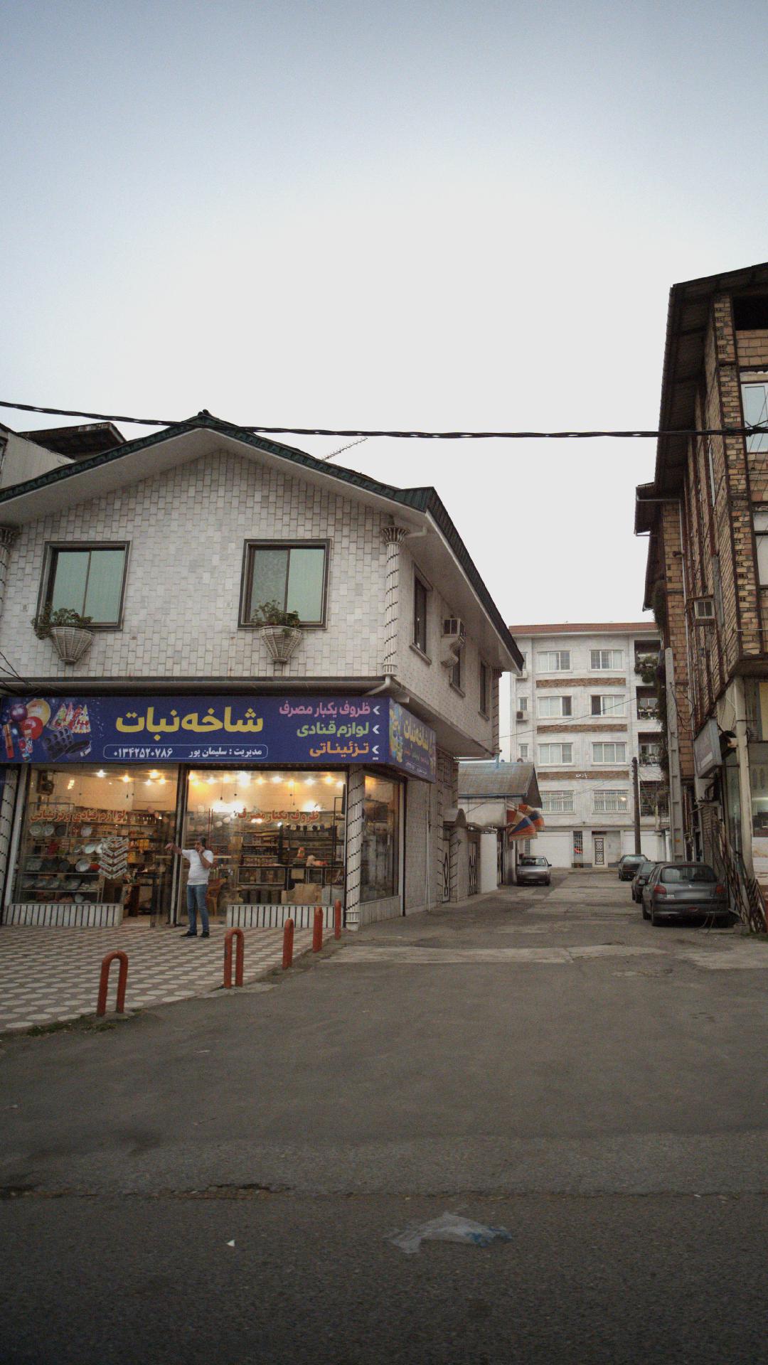 شاخه نبات