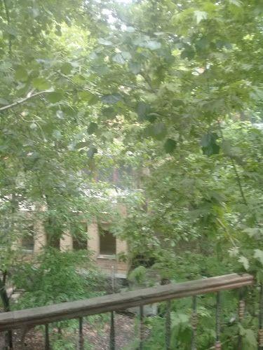 مجتمع نان بهشت