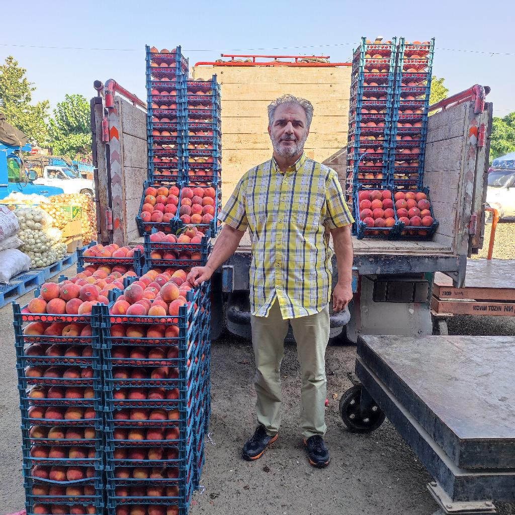 میدان میوه و تره بار مرکزی حجره ۷۱