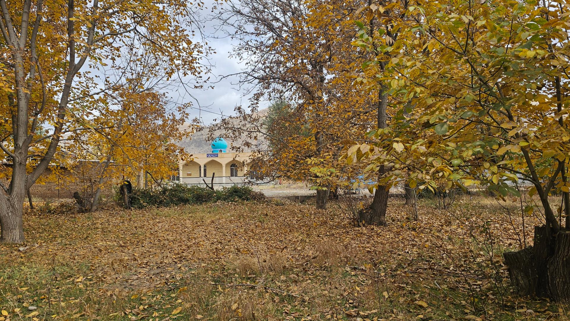 مسجد