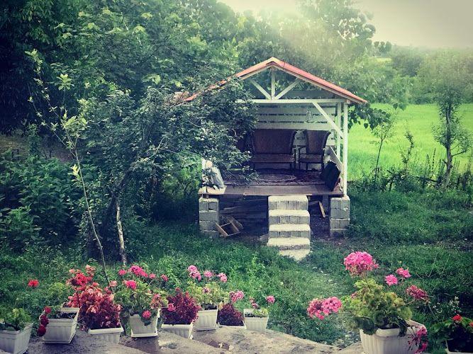 Sharifi's Forrest Cottage