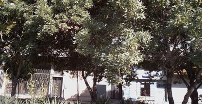 آژانس هواپیمایی جهانگردی مسافرتی فراغت( اخلاقی )