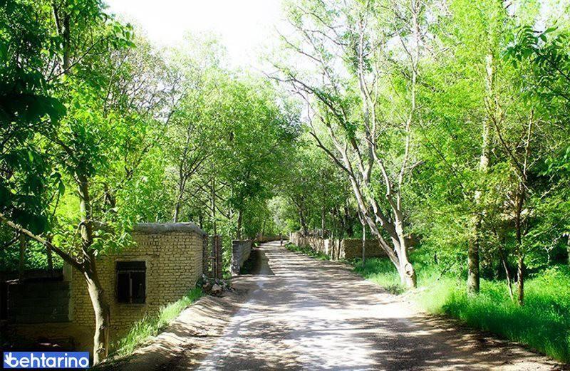 روستا ﮔﺮدﺷﮕﺮی ﻓﯿﺮوزه