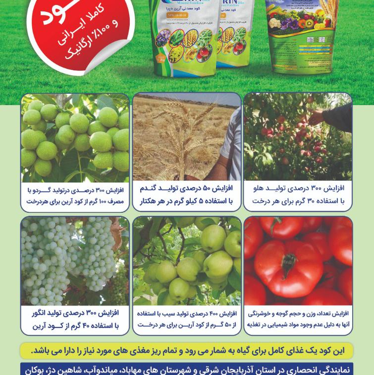 بیمه "ما"