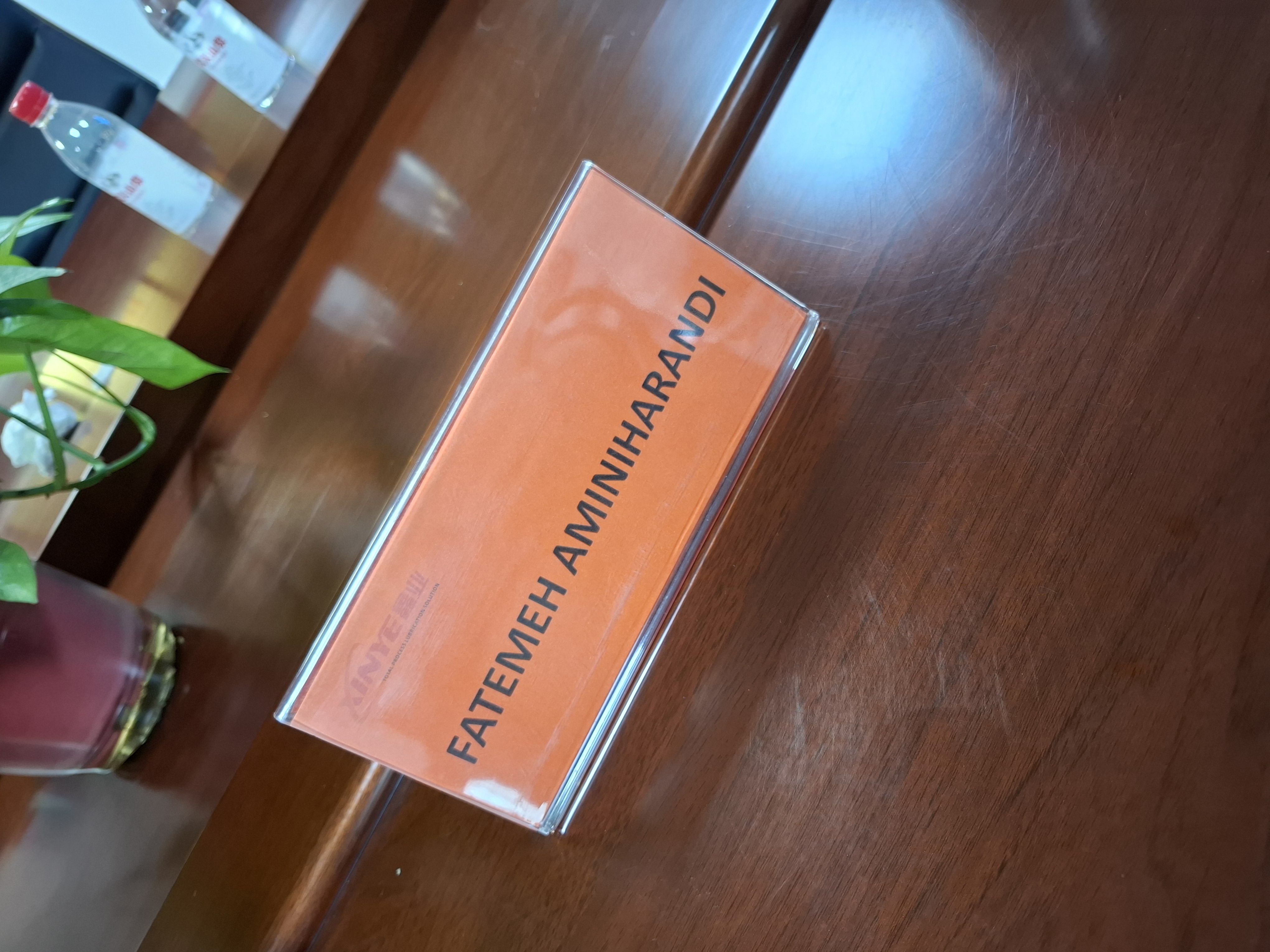 مترجم همزمان انگلیسی فاطمه امینی