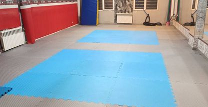 موسسه ستارگان ورزشی نوربخش