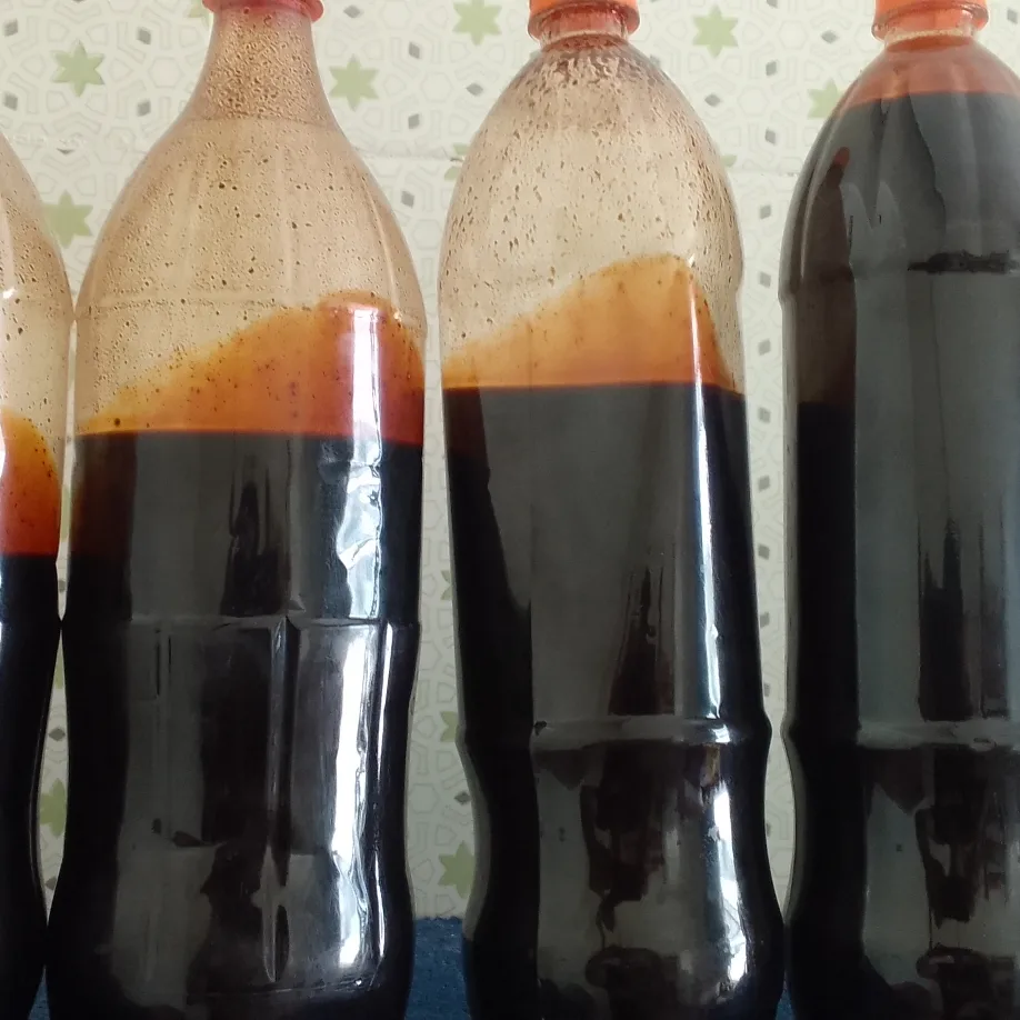 تولید خرما وشیره خرما شاهی