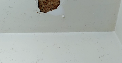 تعمیر لوله فاضلاب بدون تخریب.رفع نم لوله