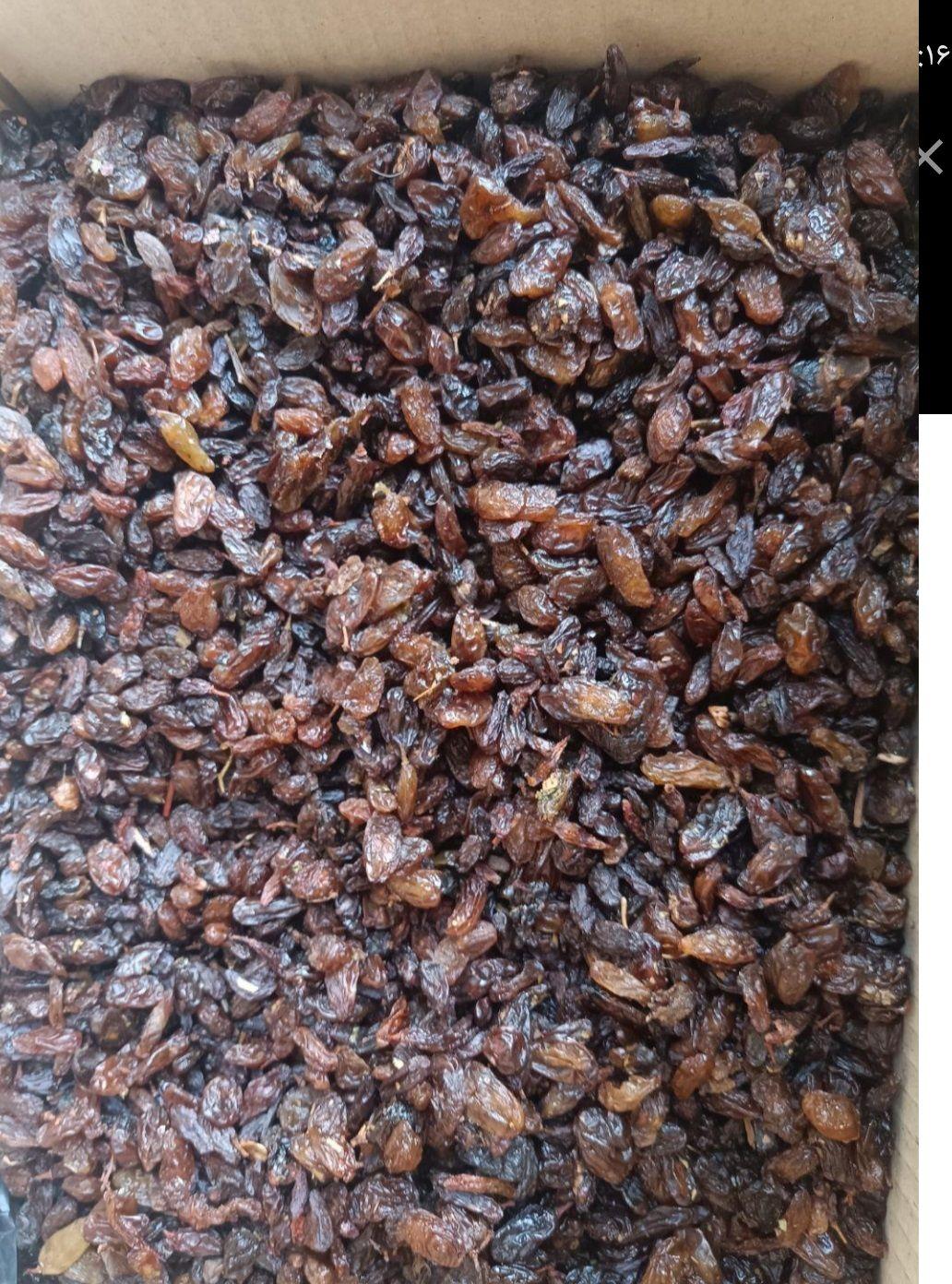 کشمش فروشی مهبودی