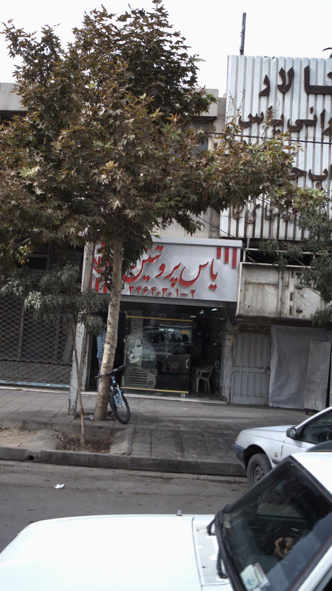 یاس پروتئین