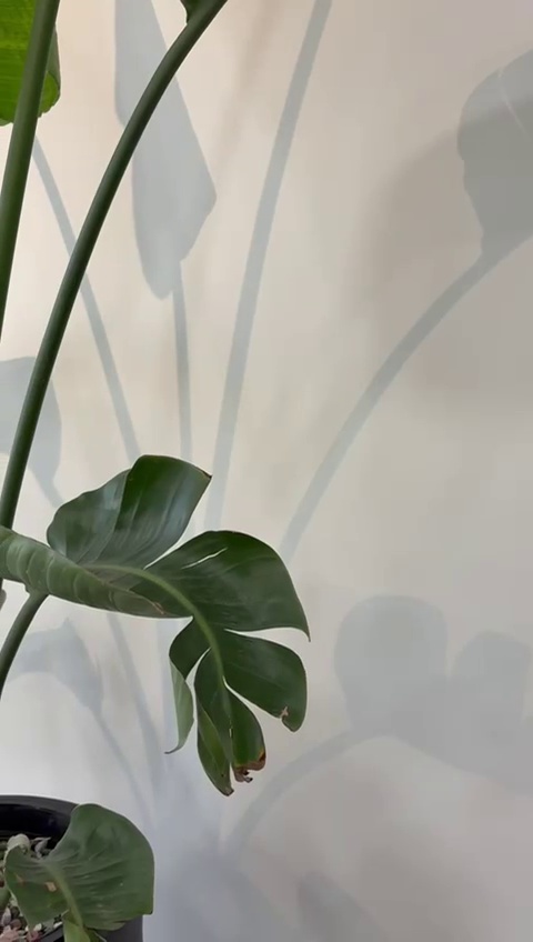 کلینیک دنداپزشکی اسلامشهر