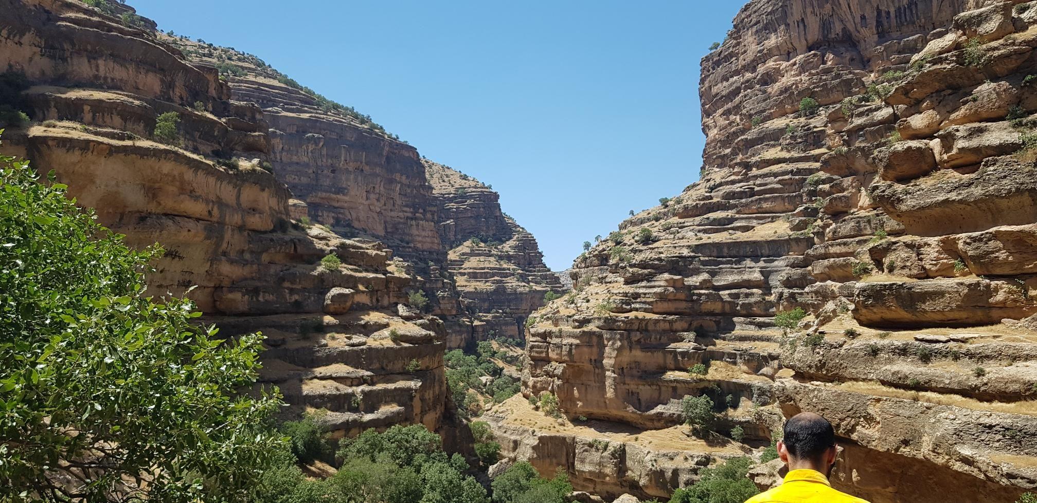 تور گردشگری