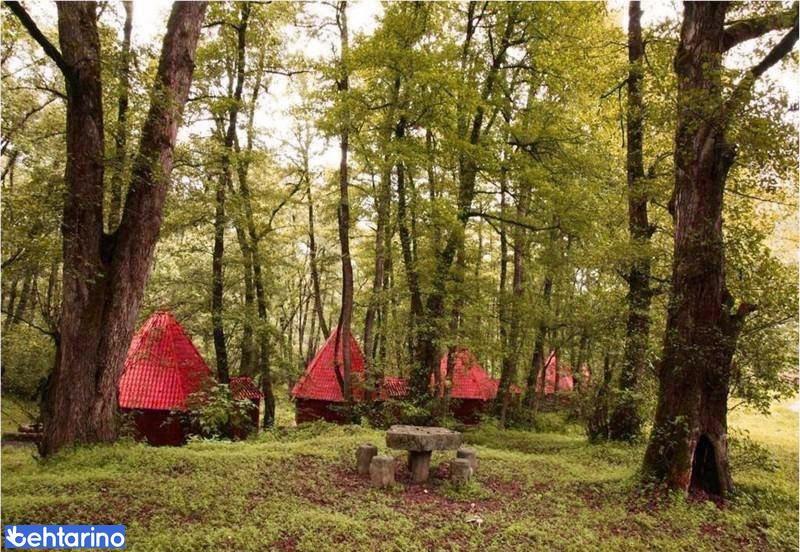 پارک جنگلی چالدره