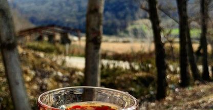 دکتر علی اکبر شریفیان