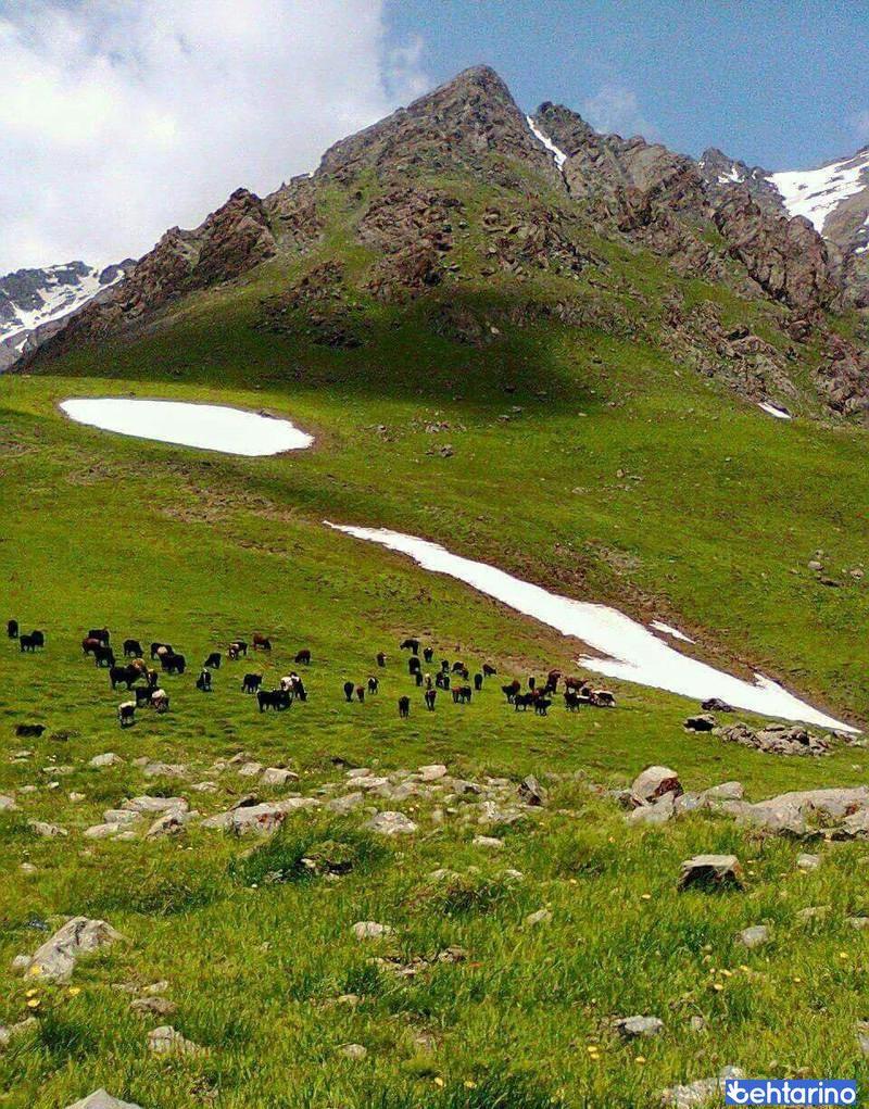 روستای دلیر