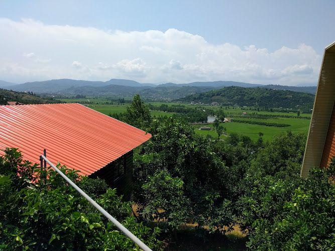 کلبه چوبی باغ ملک