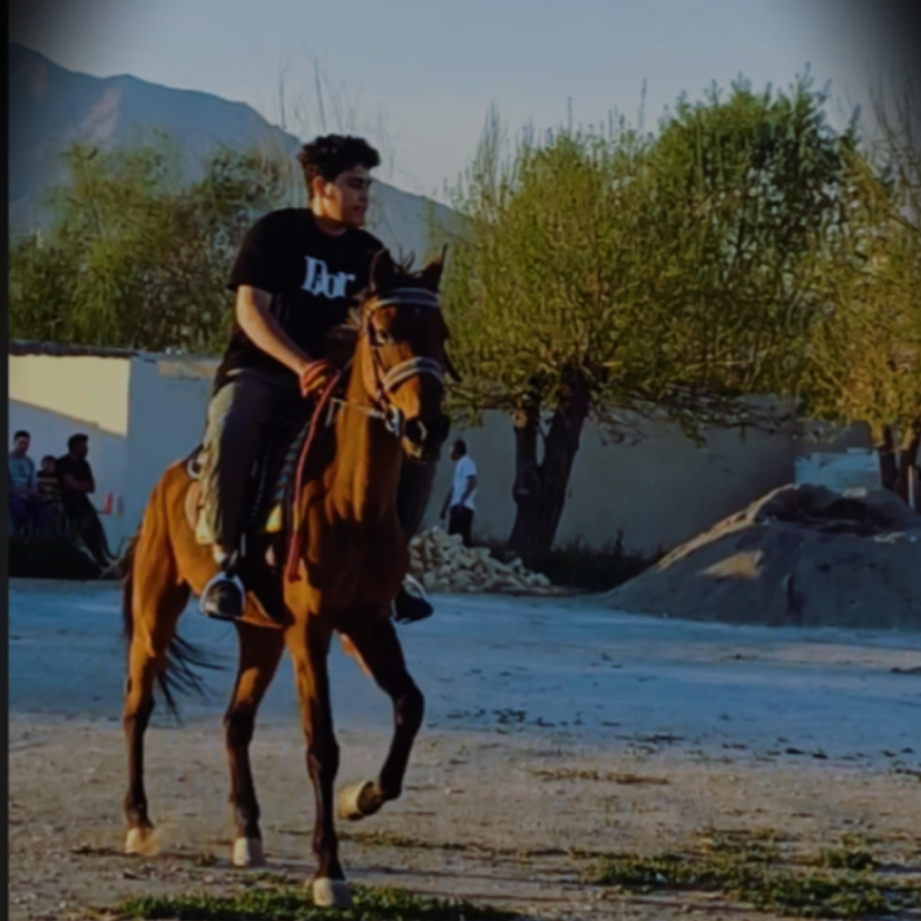 مجموعه پرورش اسب و سوارکاری امیران