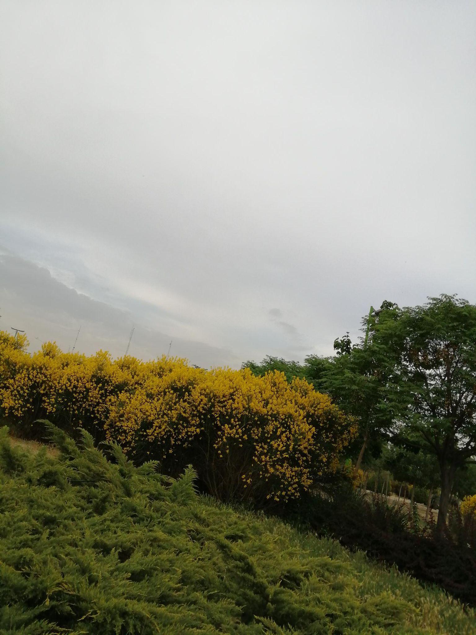 بوستان حافظ