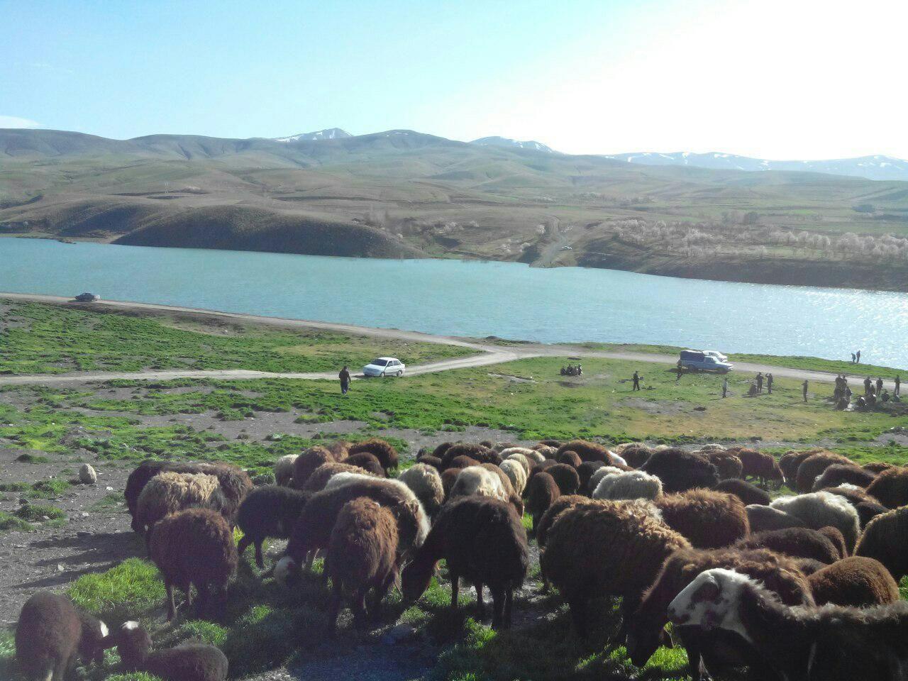 قلعه نوگونسبان