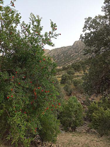 اقامتگاه گردشگری باغ پرش