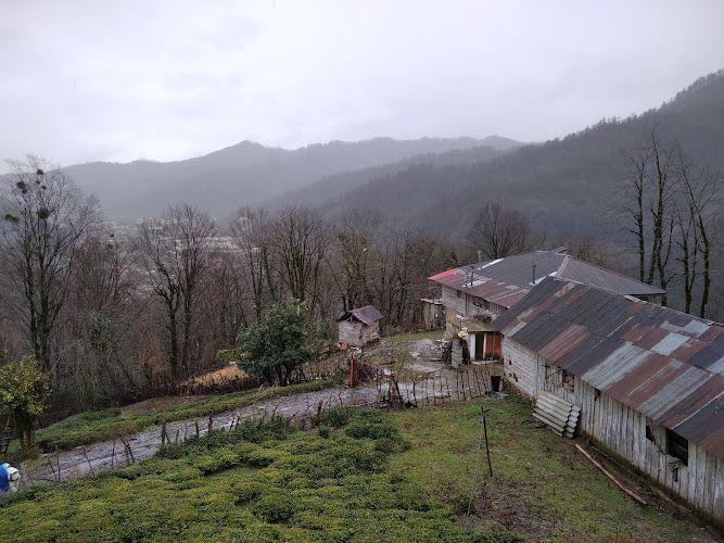 Fusheh Forest Vila ویلای جنگلی فوشه