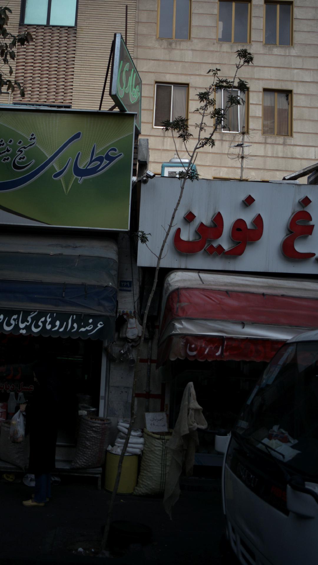 مرغ نوین