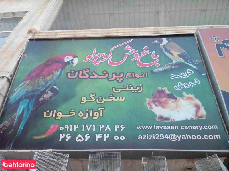 باغ وحش کوچولو