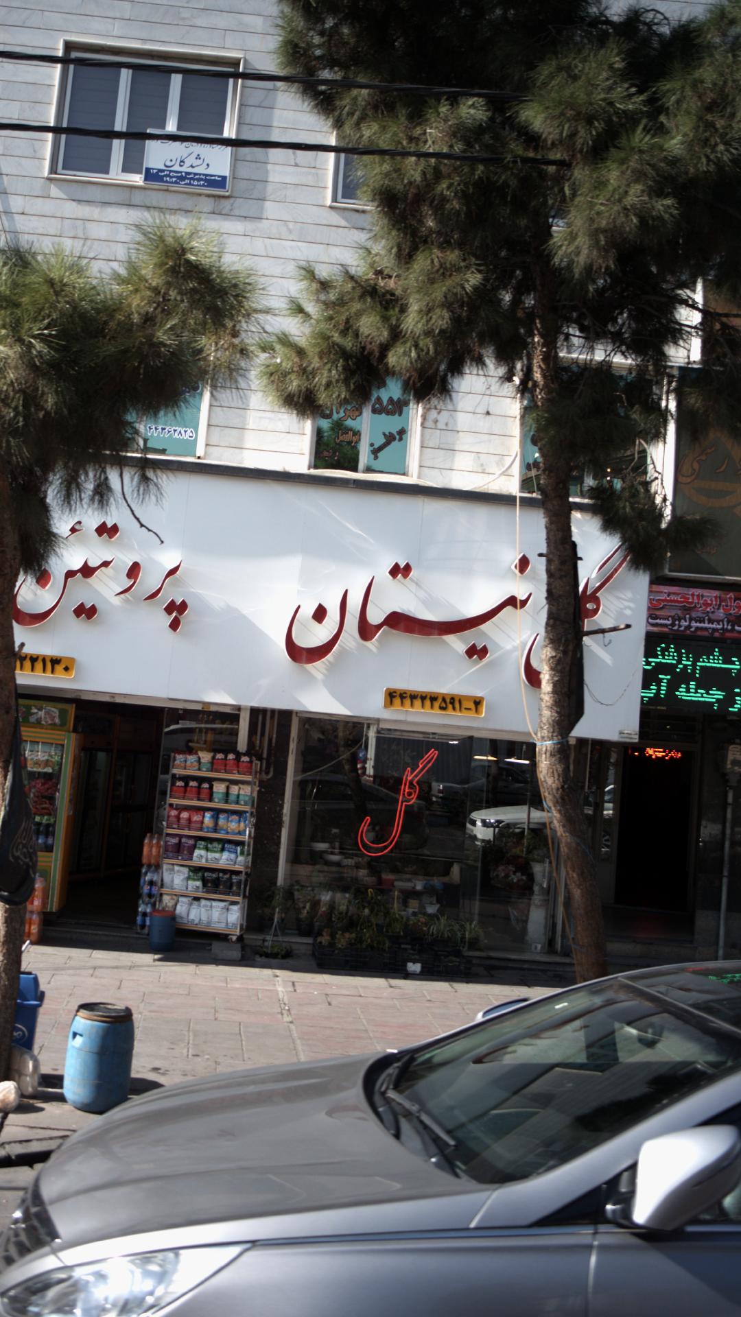 گل نیستان