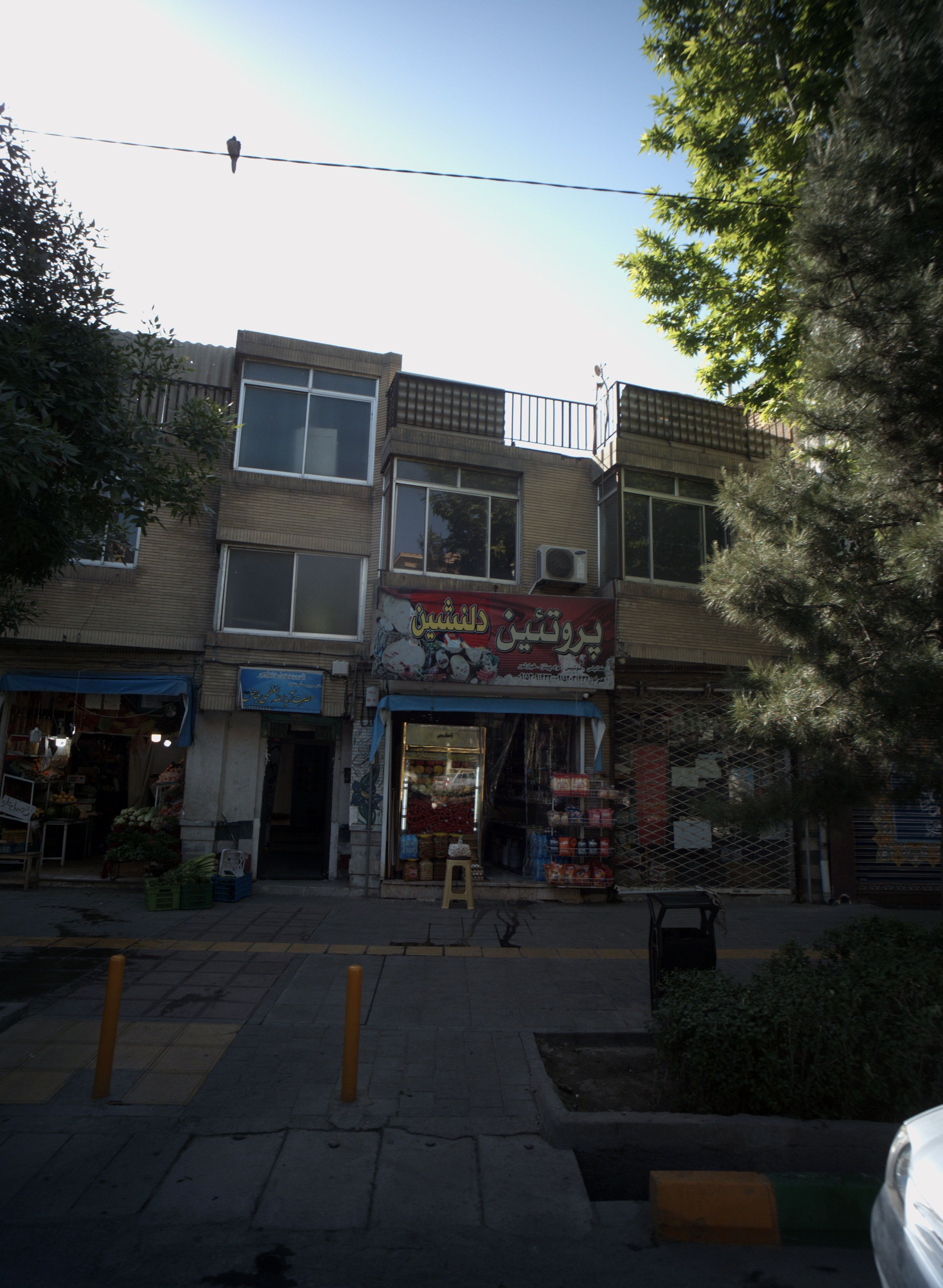 پروتئین دلنشین