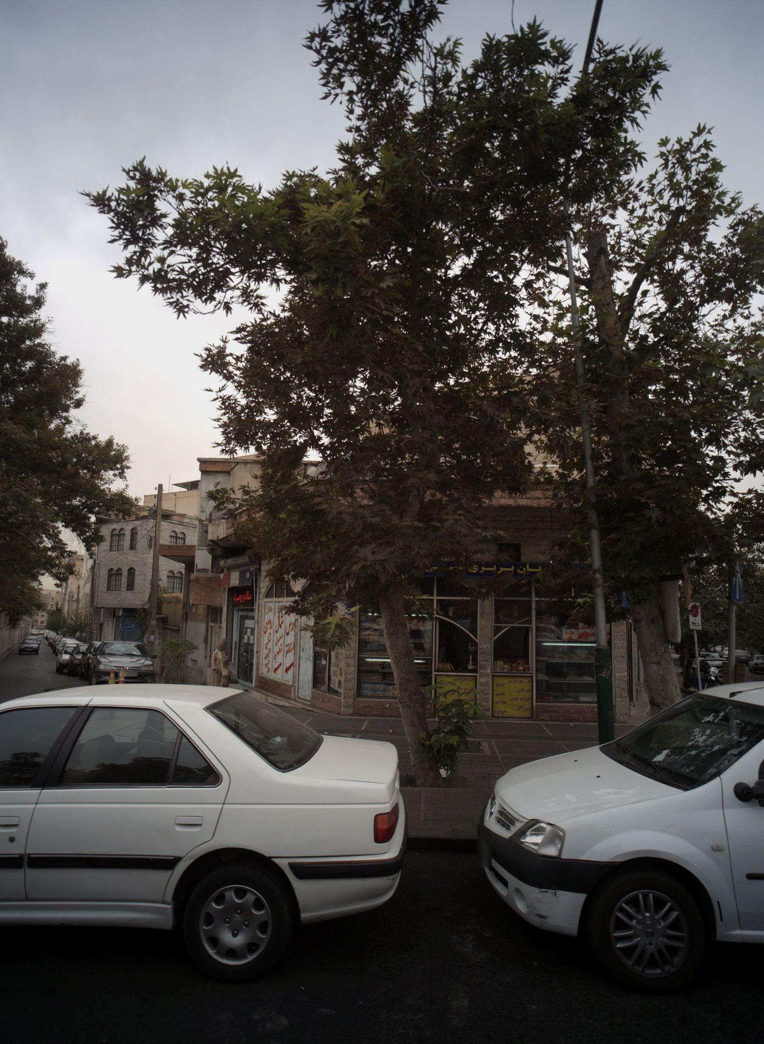 نانوایی بربری