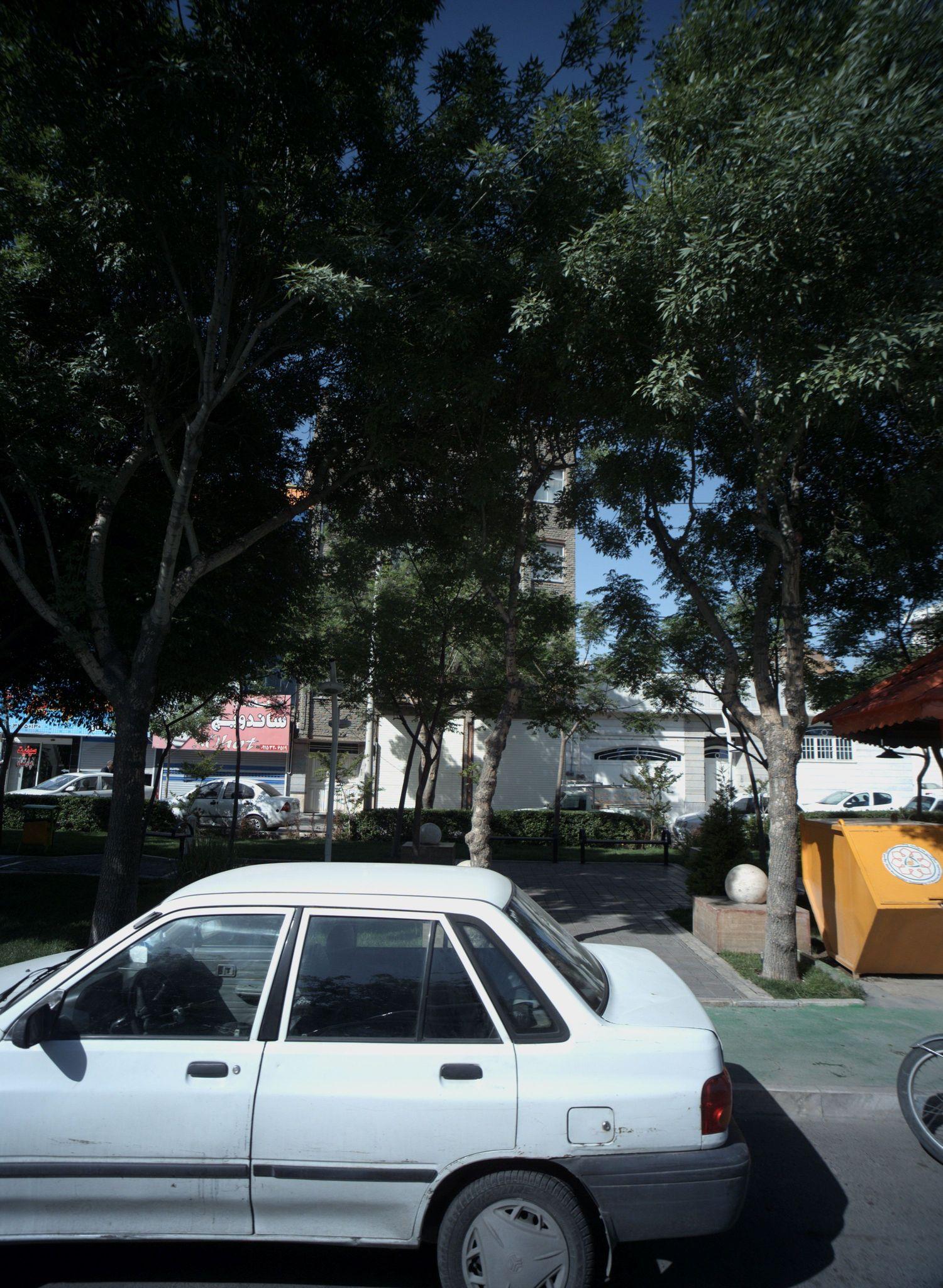 ساندویچ سی هات