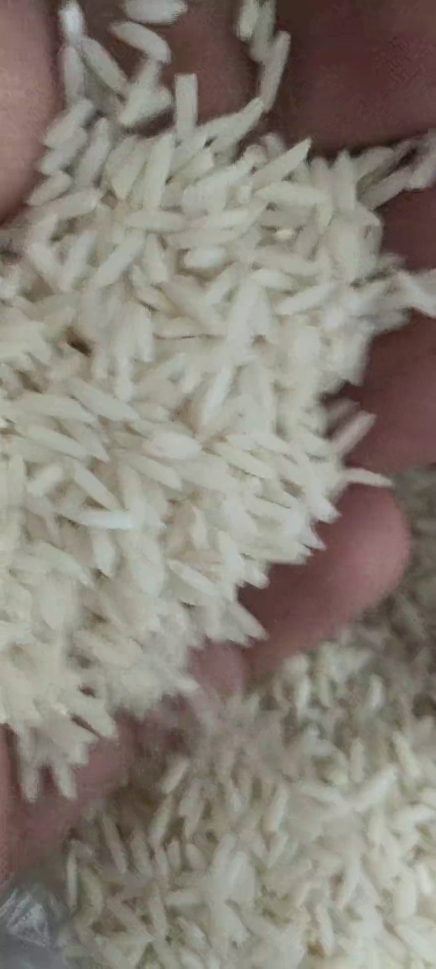 برنج انتظاری