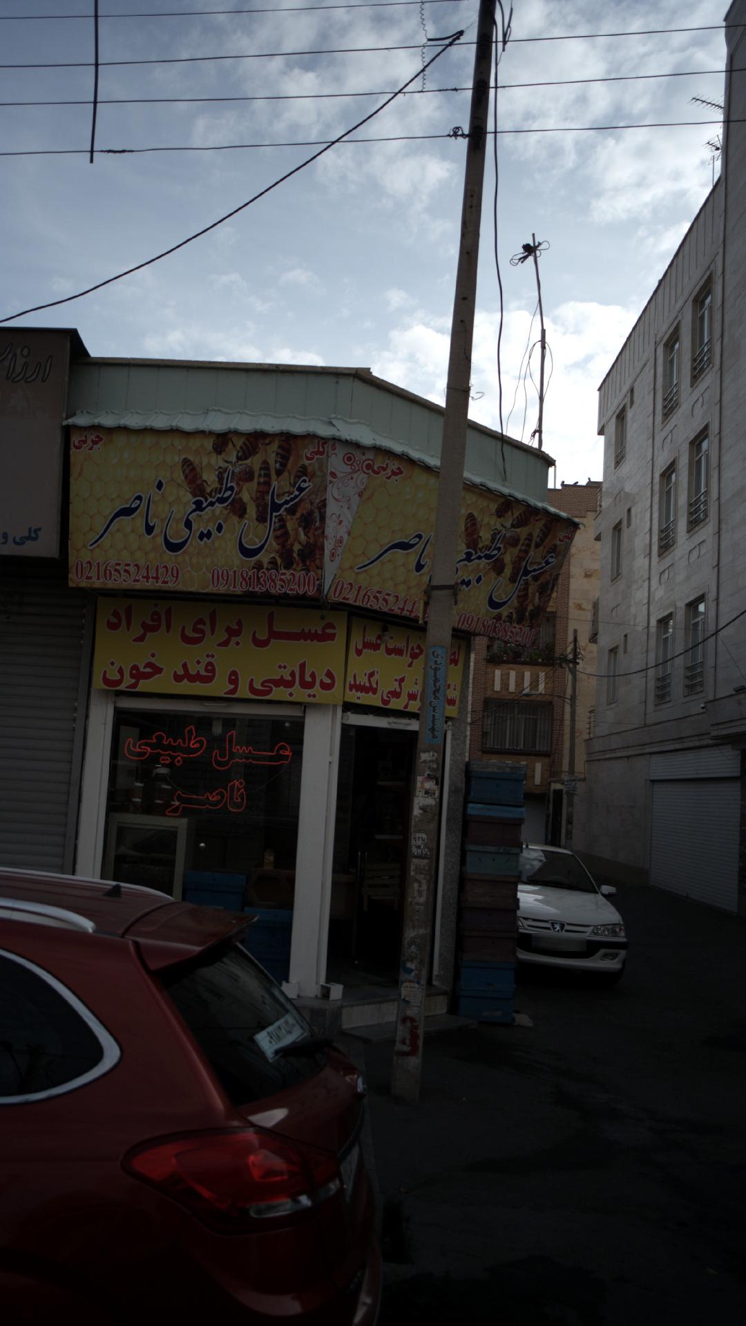 زنبور عسل