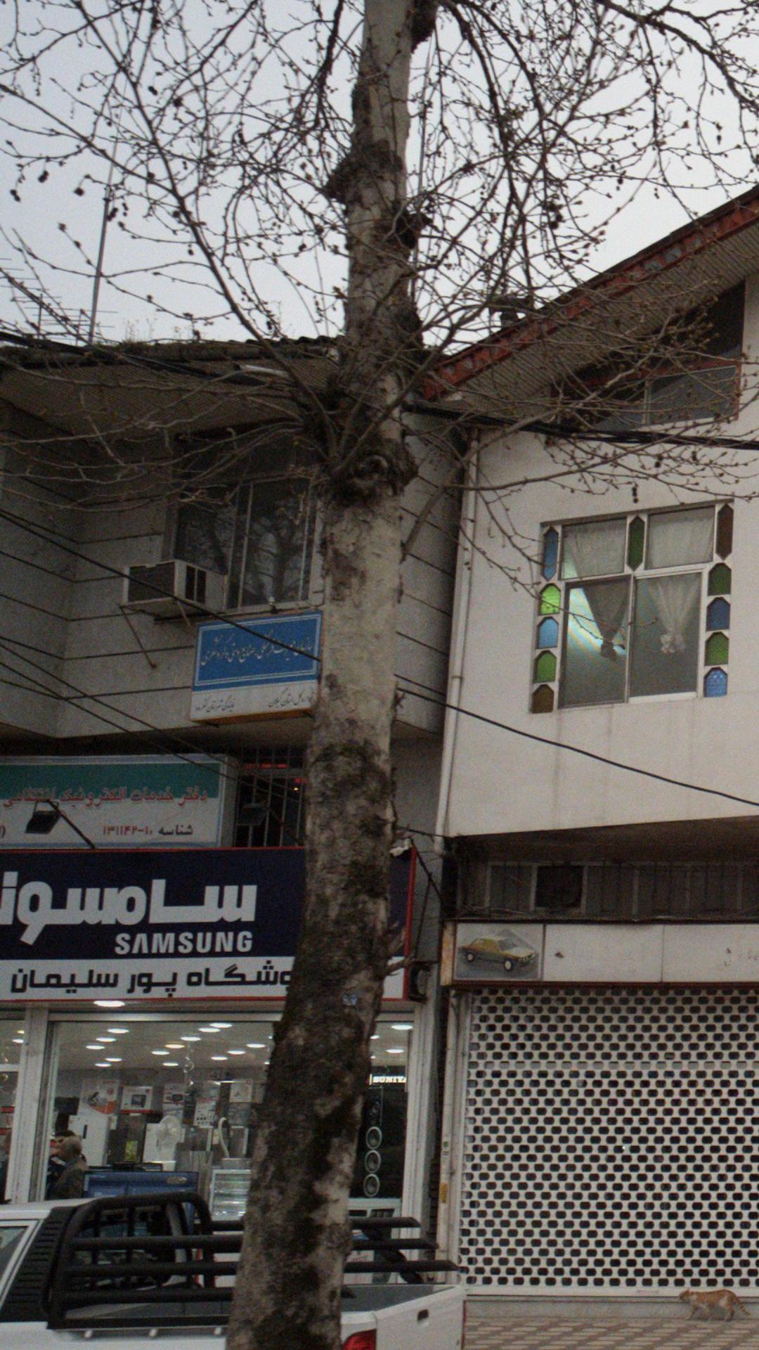 سازمان میراث فرهنگی صنایع دستی و گردشگری