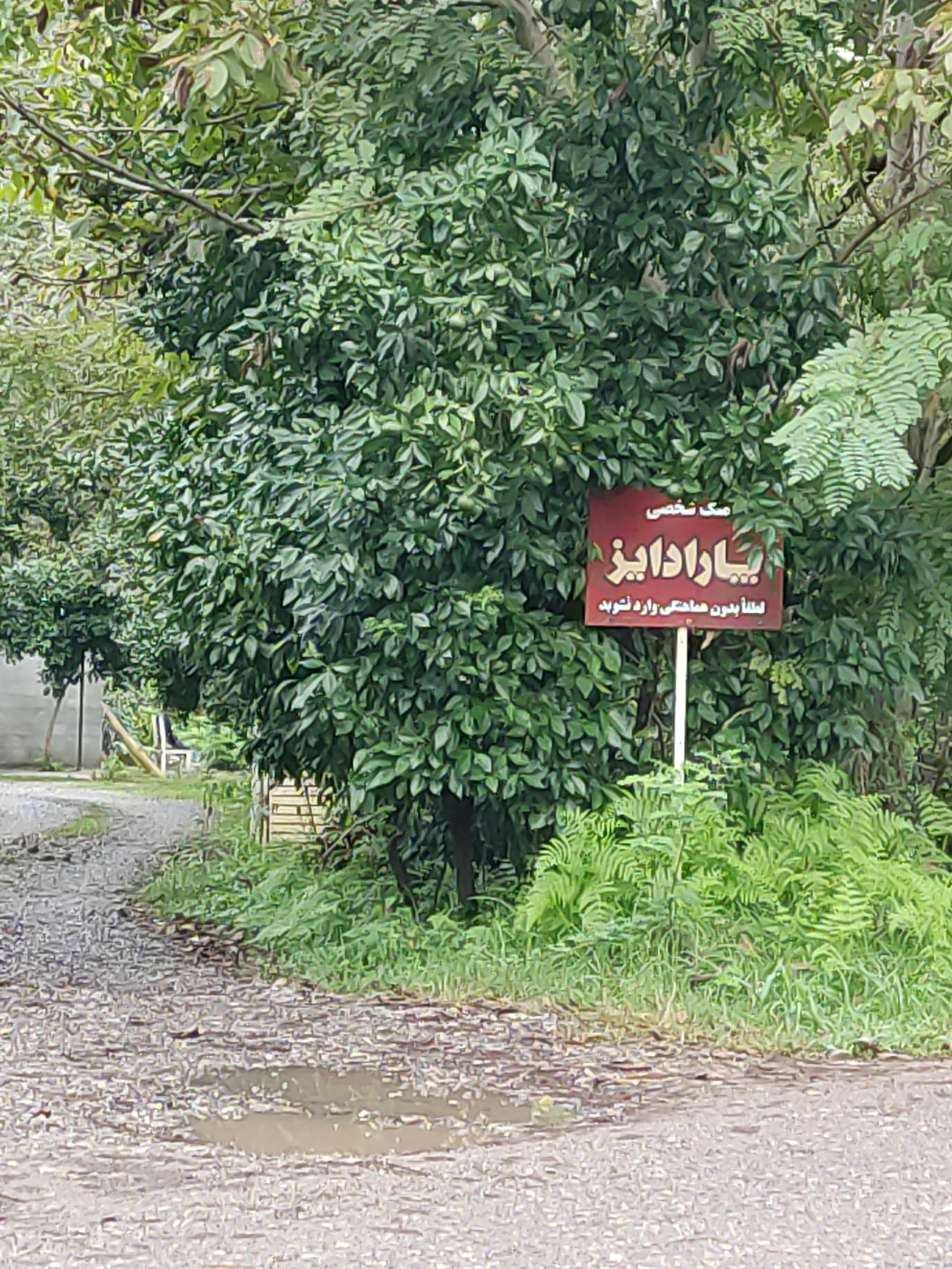 باغ عروس پارادایز