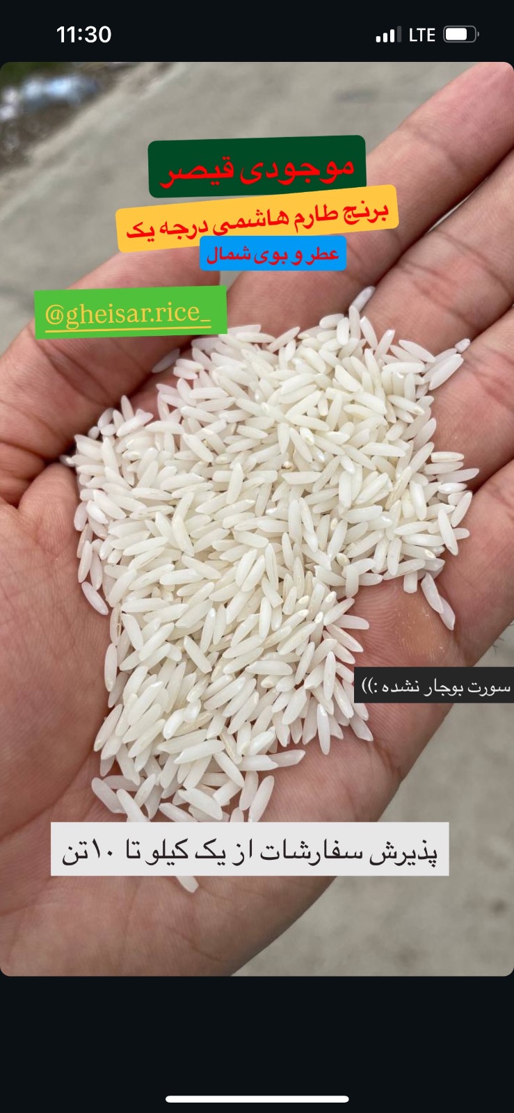 برنج قیصر  درجه یک از شمال کشور