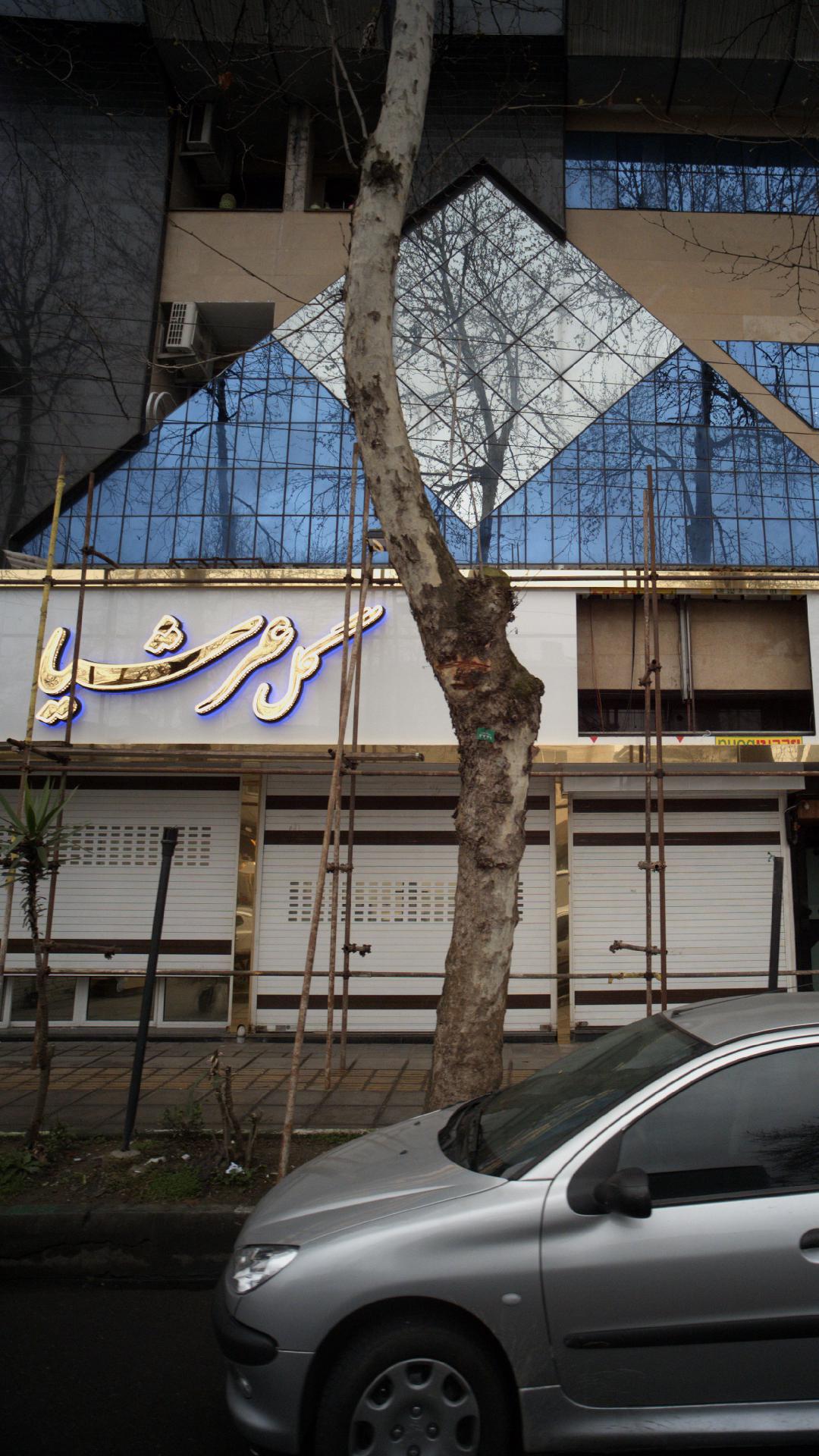 گل عرشیا