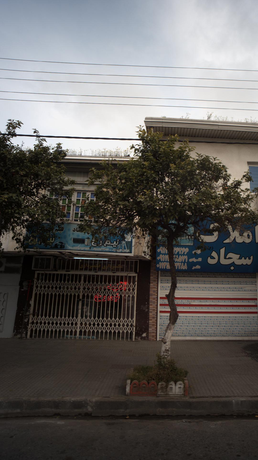 آتیه نیم رخ