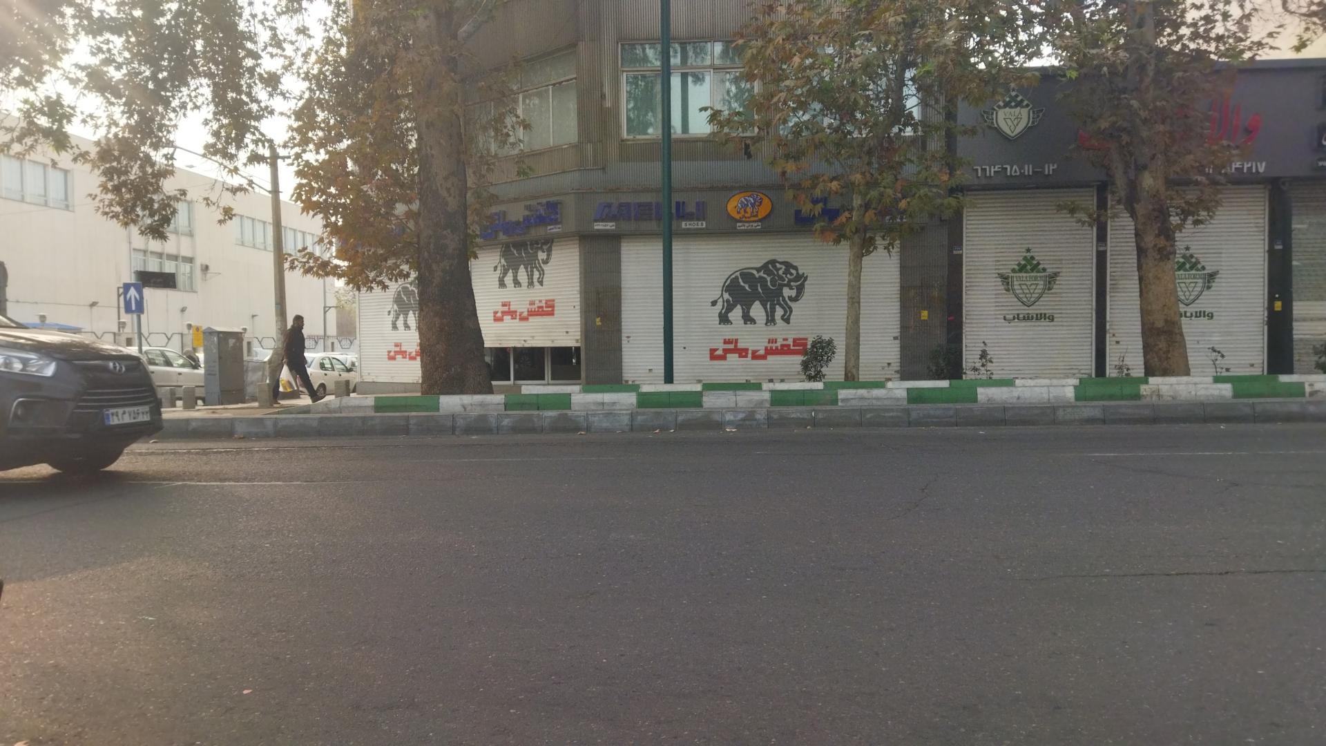 کفش ملی