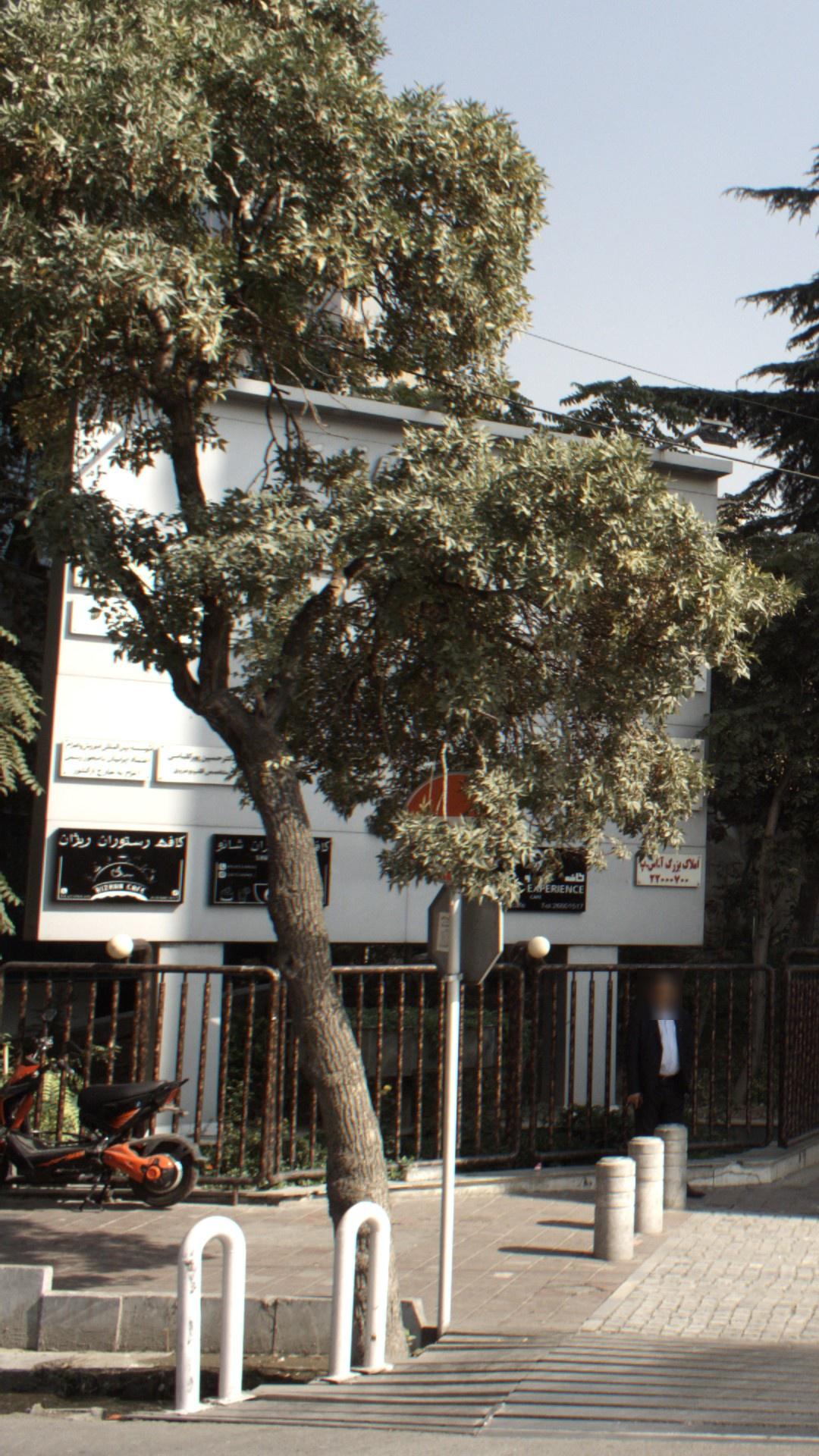 کافه و رستوران شانو