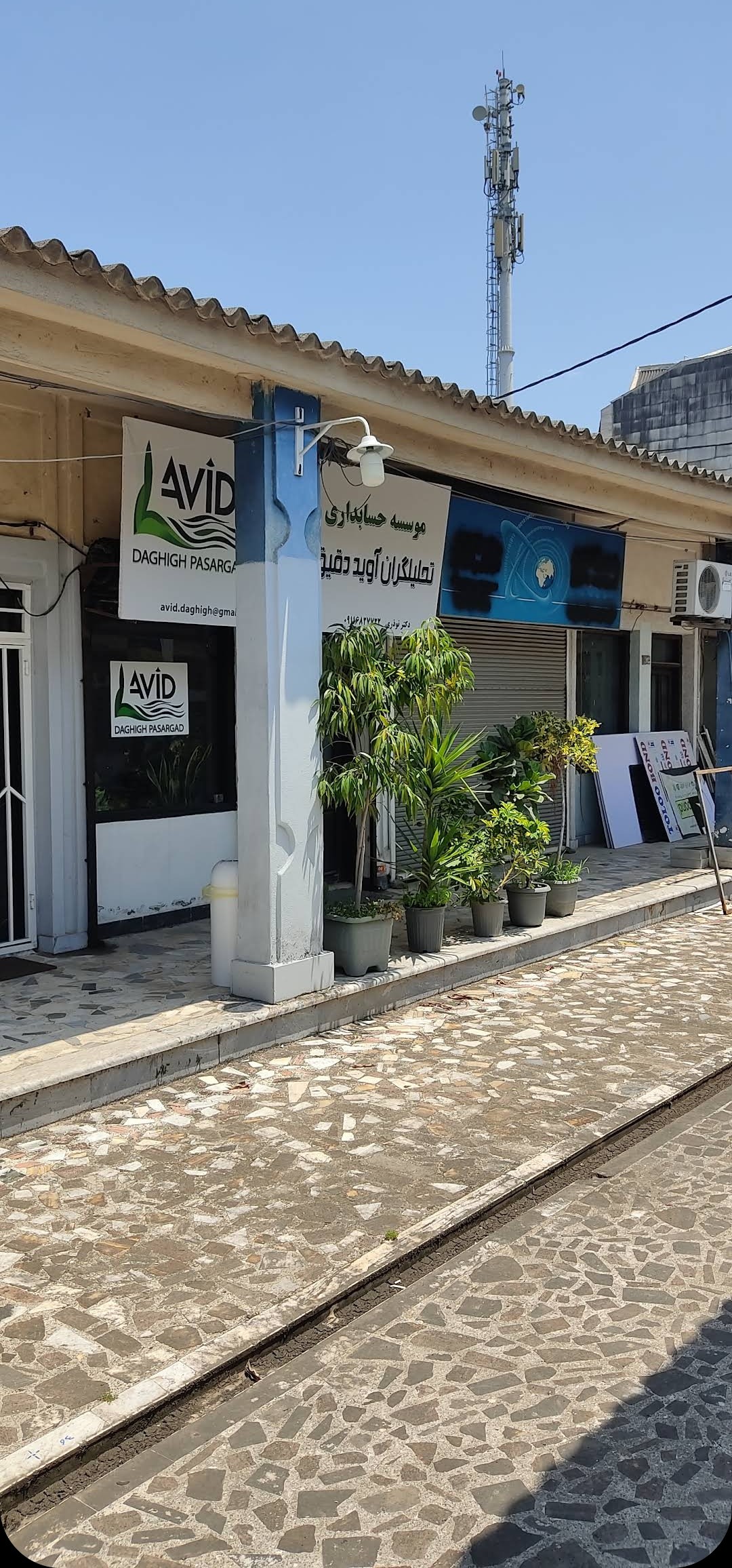 شرکت حسابداری آوید دقیق پاسارگاد