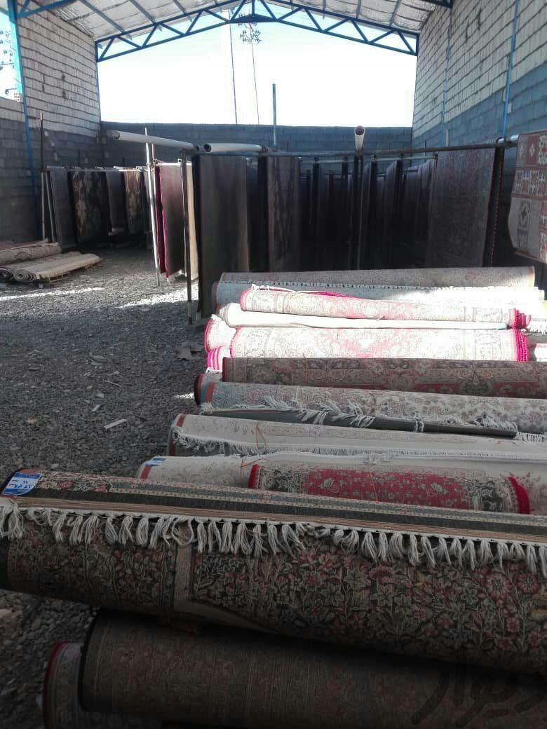 قالیشویی ماه تابان