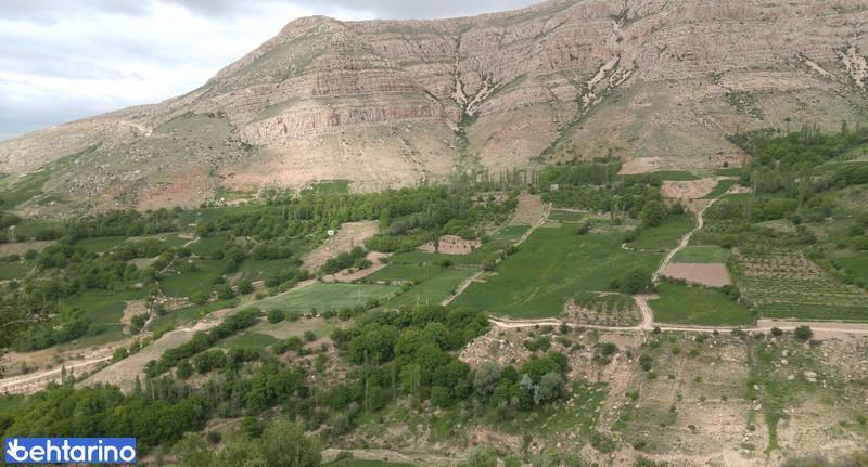 روستای رئین