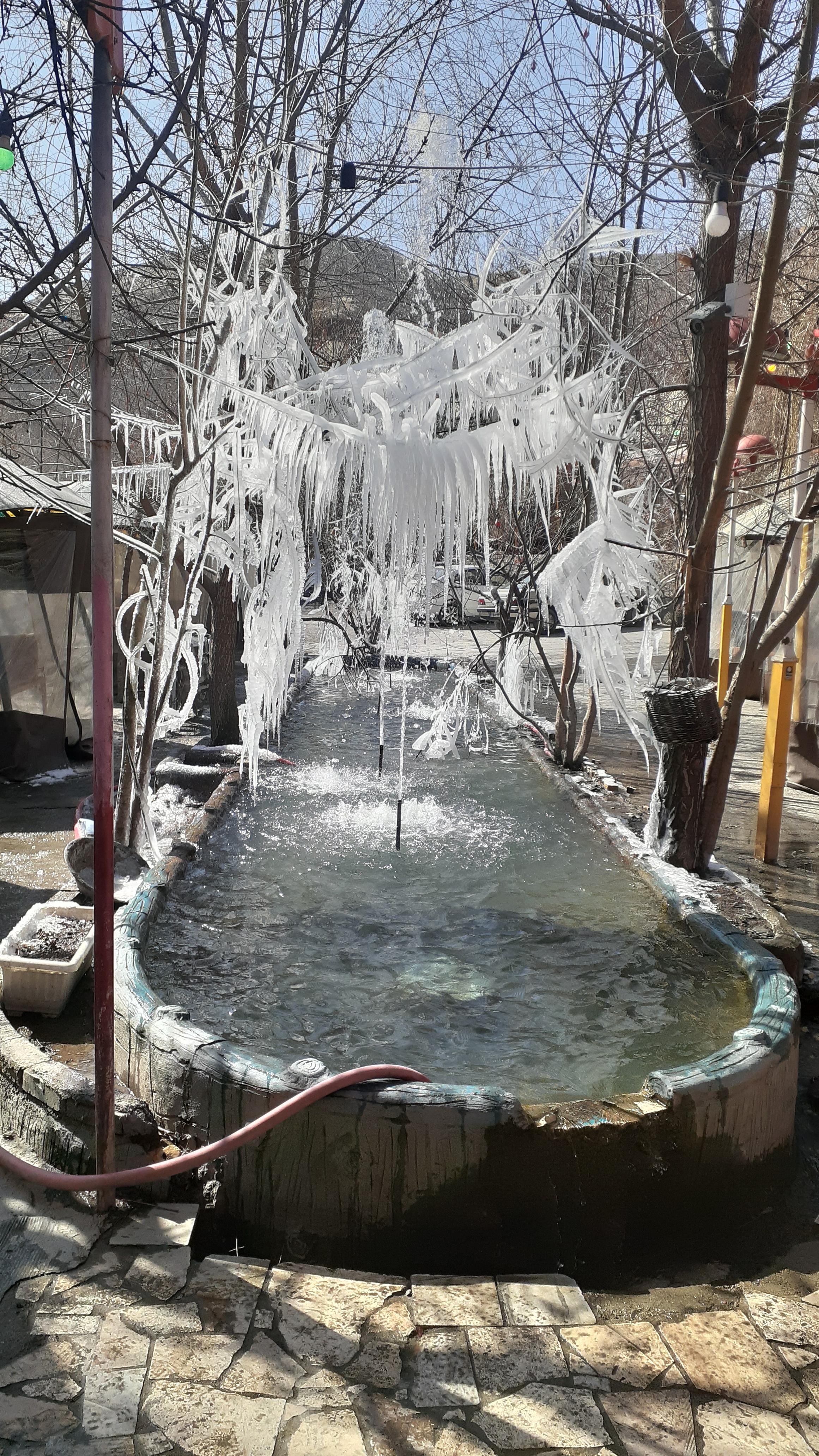 رستوران باغ گیلاس