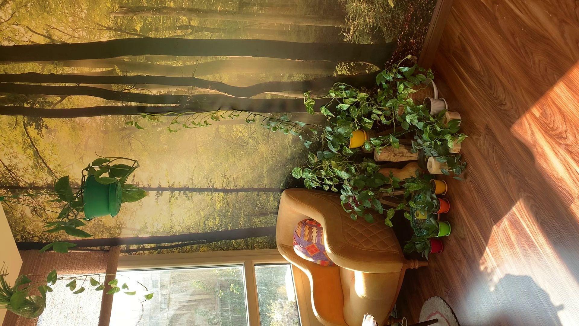 مؤسسه یوگا آناندا