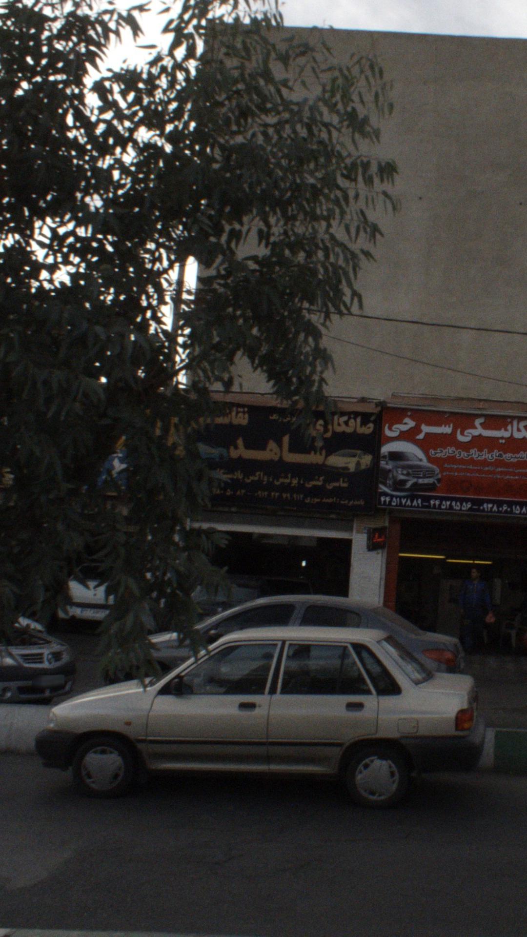 صافکاری نقاشی شاهد