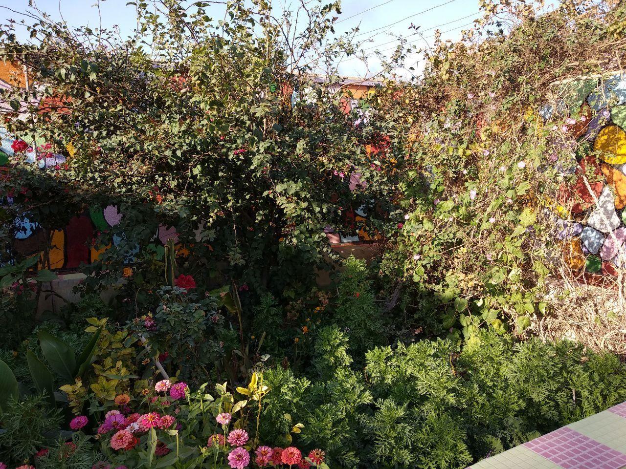 مهدکودک و پیش دبستانی صدف