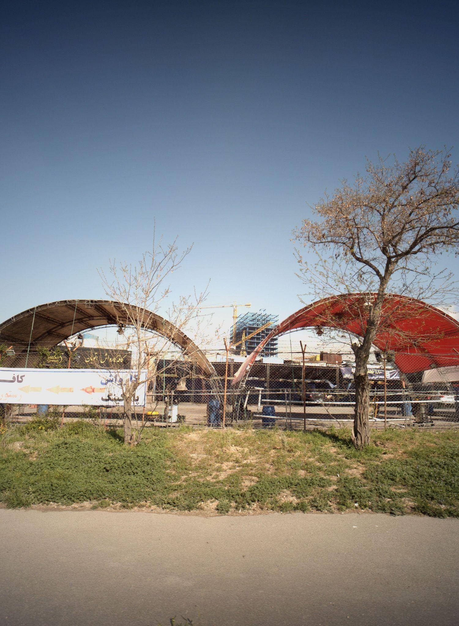 کافه کاکتوس