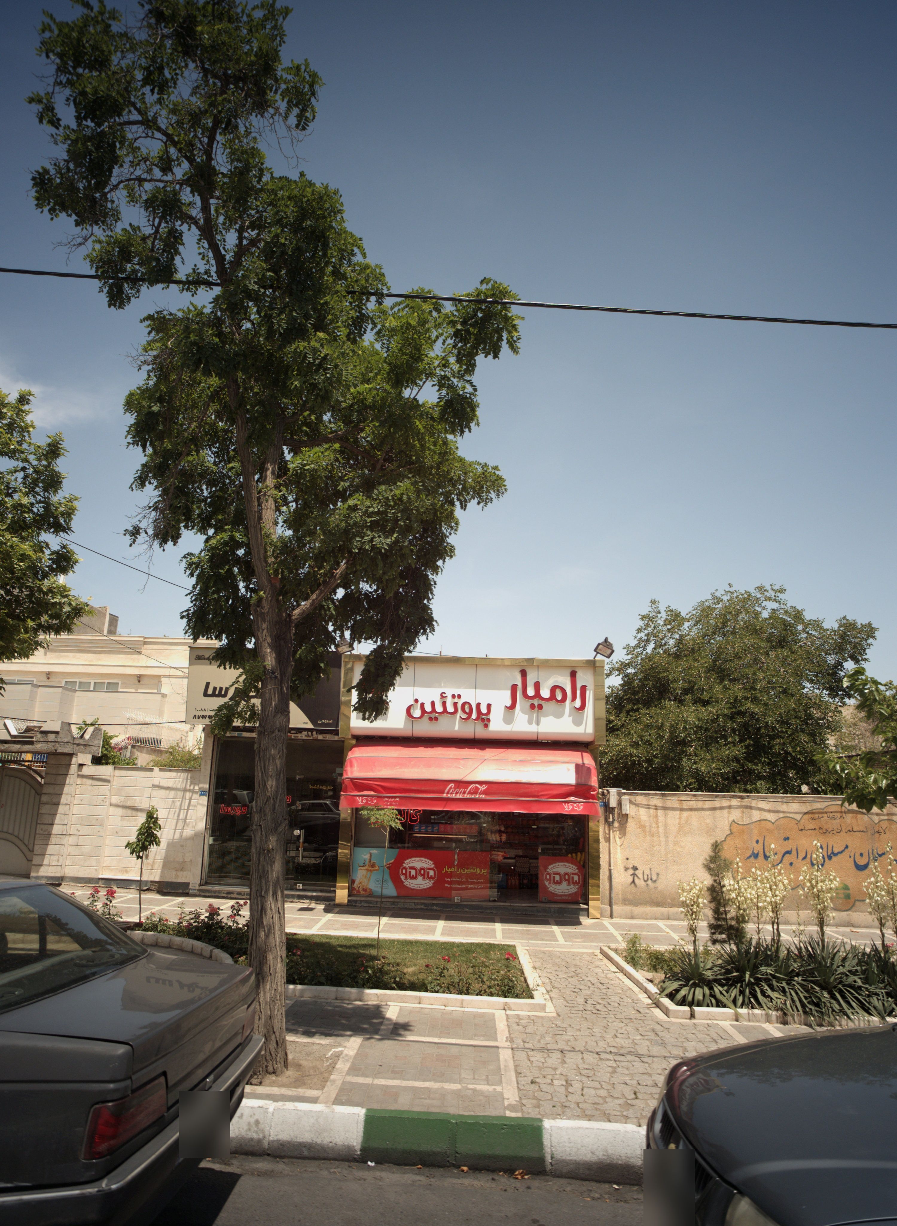 رامیار پروتئین